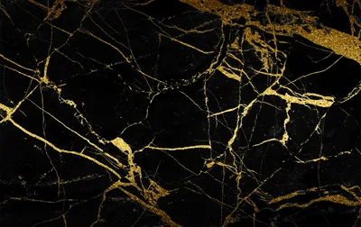 Gold veining branches across polished black marble, thickest through the upper half of the frame.