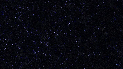 Thousands of tiny violet pinpoints on an almost-black field, densest through the middle band — reads as plain black from a distance.