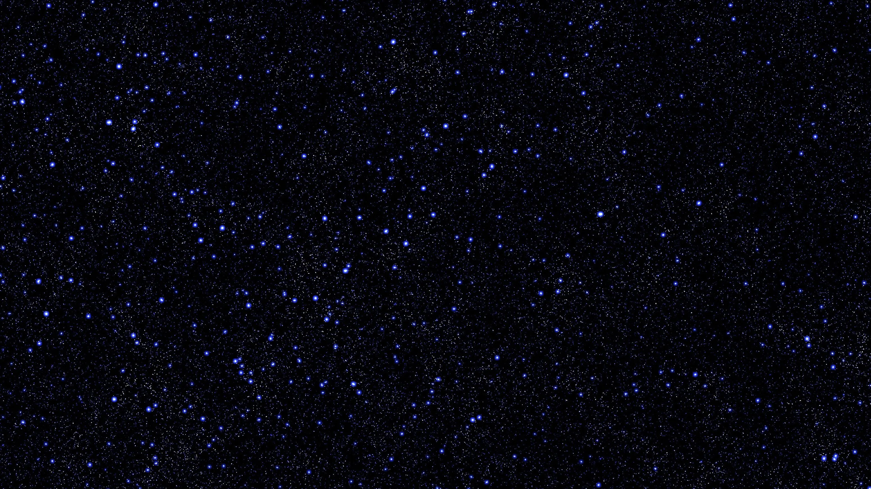 Thousands of tiny violet pinpoints on an almost-black field, densest through the middle band — reads as plain black from a distance.