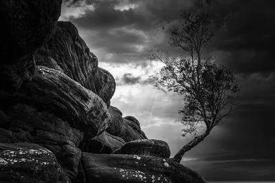 Bare branches lean out from a stack of weathered boulders, heavy storm cloud filling the top half of a high contrast monochrome landscape.