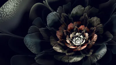 A digitally grown bloom spirals out from a white core through rust-red petals into dark teal, the outer layers speckled and fading into black.