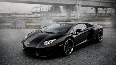 The Lamborghini sits front-quarter on wet grey asphalt with a concrete flyover and bare winter trees behind it, colour drained out of everything but the car.
