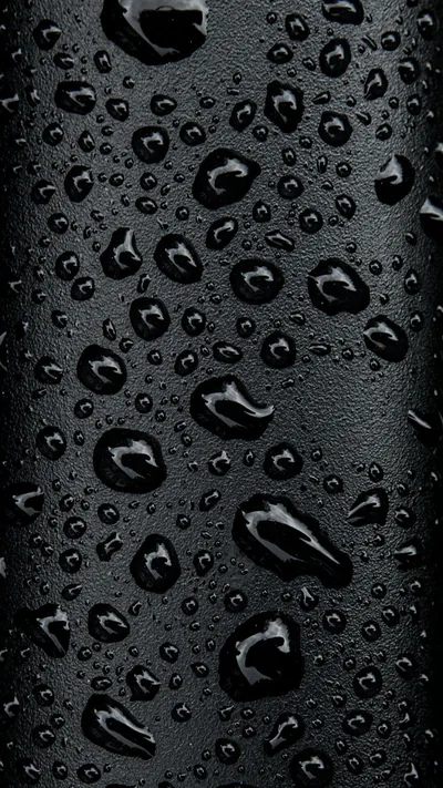 Beads of water sit across a glossy black surface, each one holding a small highlight.