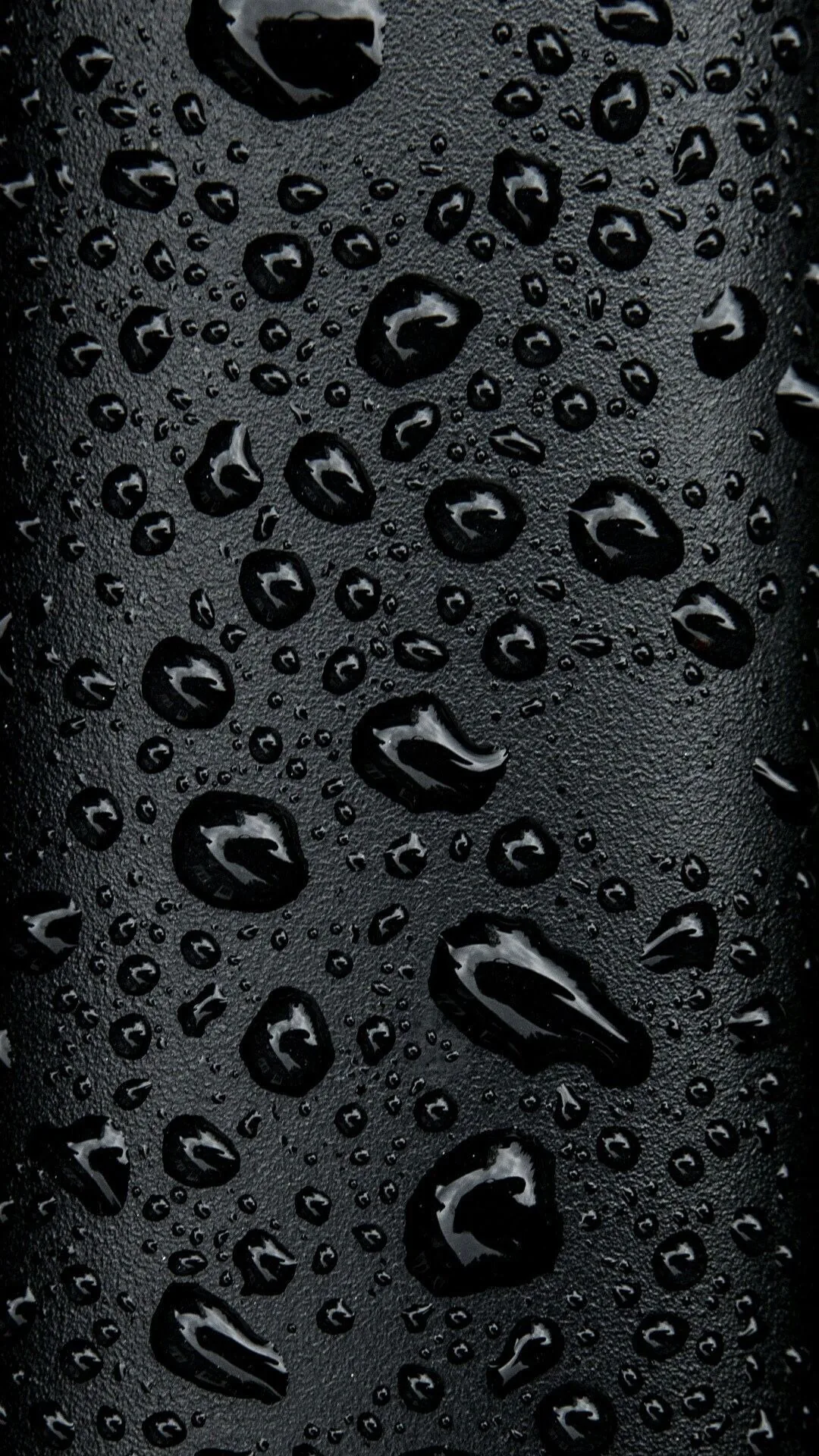 Beads of water sit across a glossy black surface, each one holding a small highlight.
