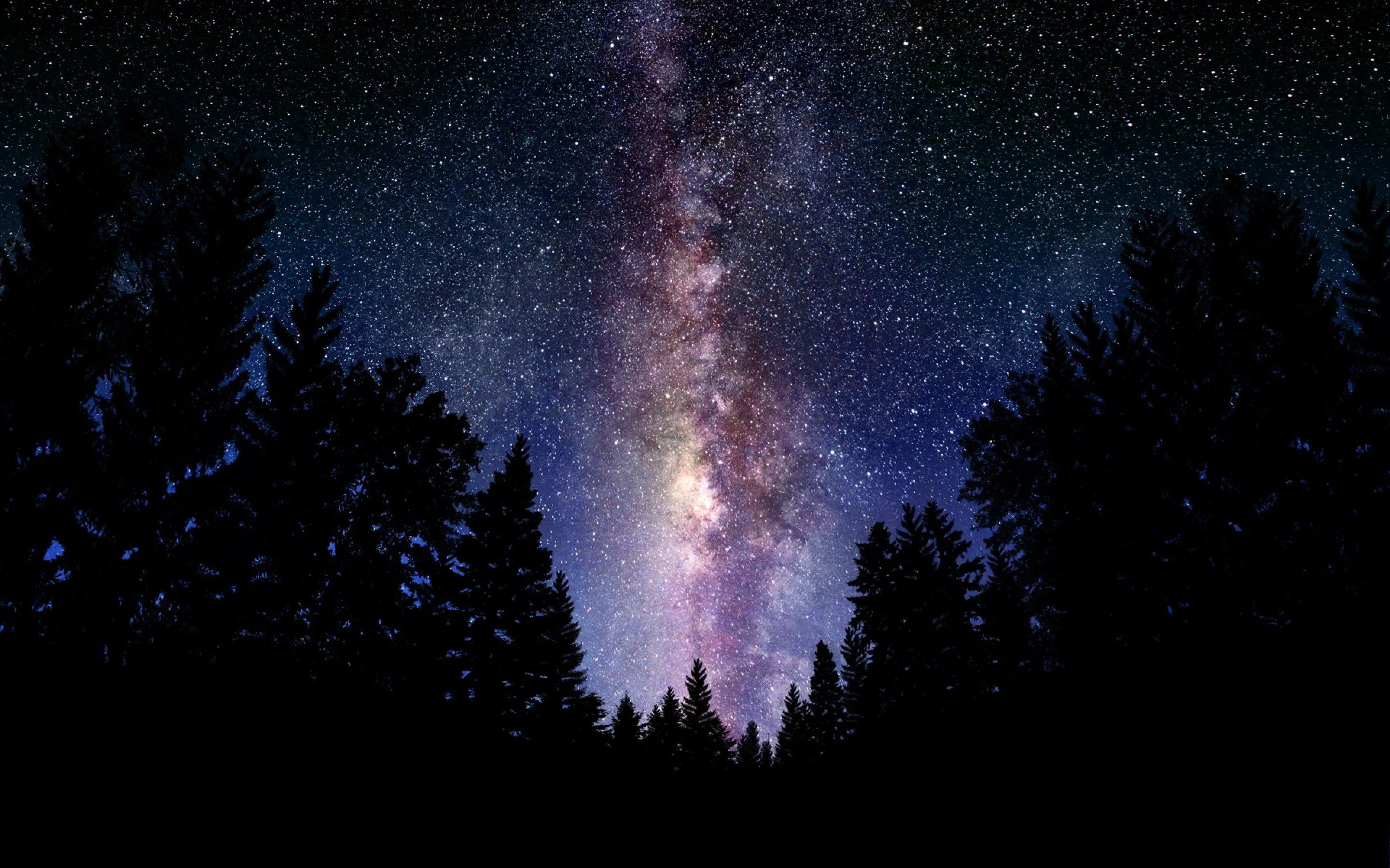The Milky Way stands as a vertical column between black pine silhouettes, brightest just above the treeline; the solid dark trees along the bottom hide a dock cleanly.
