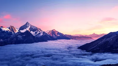 Sharp snow-covered summits rise out of a cloud layer filling the valley at pink dawn, the soft lower half leaving room for desktop icons.