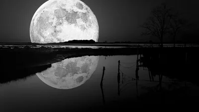 A giant monochrome moon low on the left doubles itself in still floodwater, a bare tree and fence posts breaking the right side of the frame.