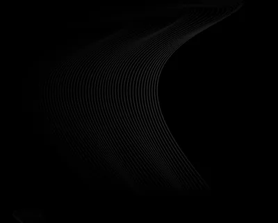 Dozens of hair-thin grey lines bend into a single wave across the left half of a black field, the right side left completely empty.