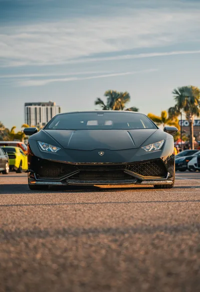 Vertical front shot of a slammed Lamborghini on cracked asphalt, palm trees and pale apartment blocks behind it under a soft blue sky.