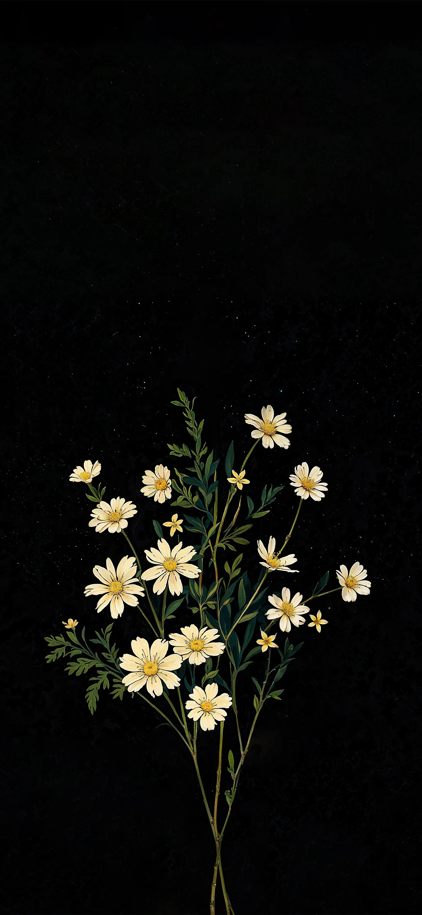 A slim spray of small white daisies rises from the bottom of a tall black frame, the whole upper half left empty for icons.