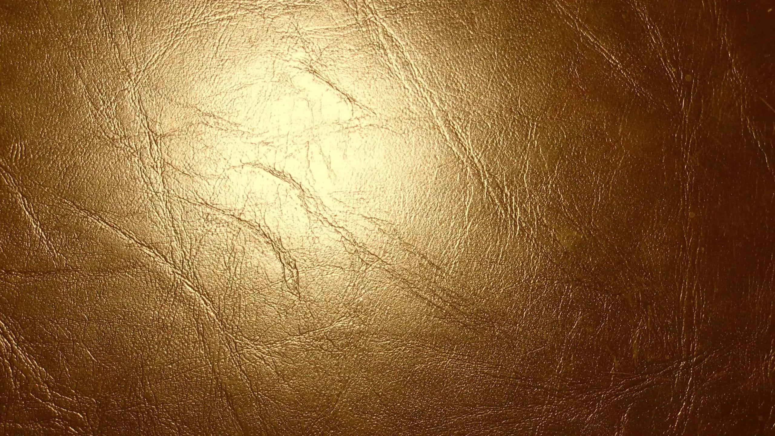 Creased metallic leather lit from the centre, fine wrinkles crossing the surface while the edges fall into a darker vignette.