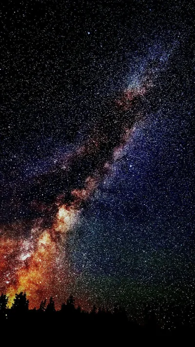 The Milky Way cuts corner to corner in this portrait shot, its amber core burning low on the left above a dark line of trees.
