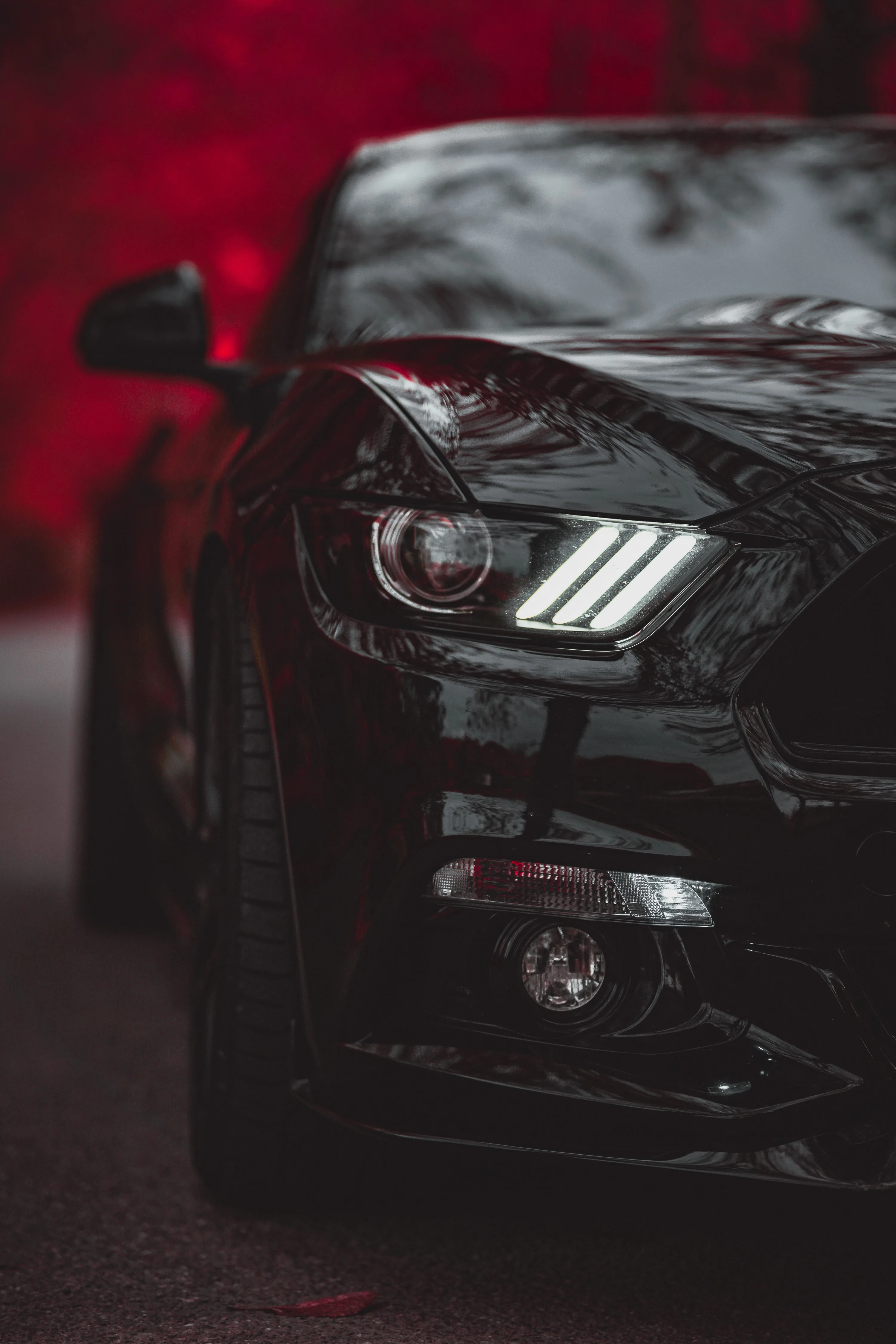 Tight vertical crop on the nose of a black Mustang, three LED bars glowing inside the lamp while a wall of blurred red foliage fills the background.