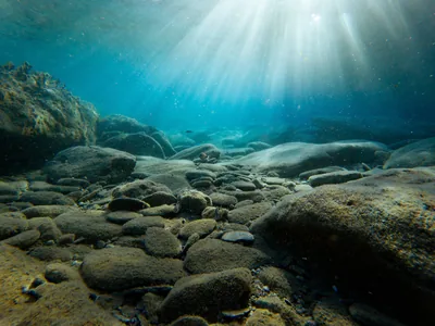 Smooth grey boulders carpet the seabed while shafts of sunlight pour down from the surface, small fish hanging in the blue haze.