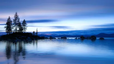 A small stand of pines grows from a rocky point at the left of a still lake, the water and sky both washed the same pale blue after sunset.