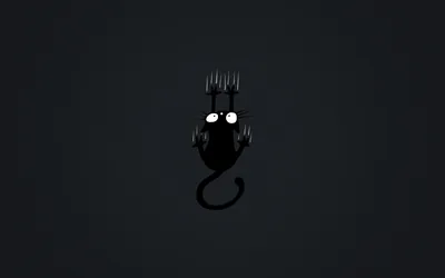 Minimalist cartoon of a small black cat gripping a dark grey surface, four scratch marks torn above its head and open space all around.