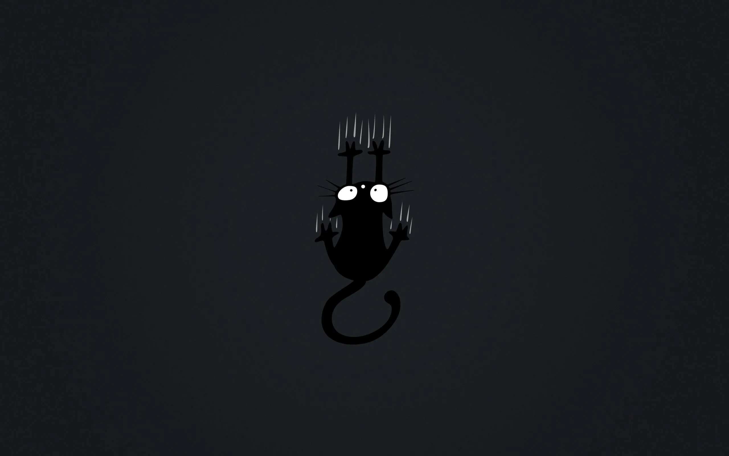 Minimalist cartoon of a small black cat gripping a dark grey surface, four scratch marks torn above its head and open space all around.