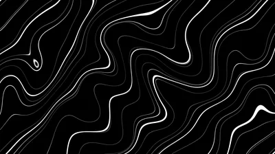 Densely packed white curves ripple across a black field, thinning at the corners and bunching tight through the centre.