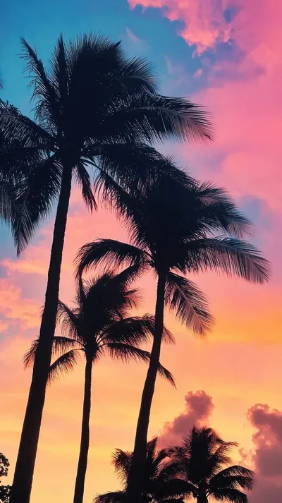 Four tall palms lean across a pink, purple and orange gradient, their dark crowns leaving the centre of the sky clear.