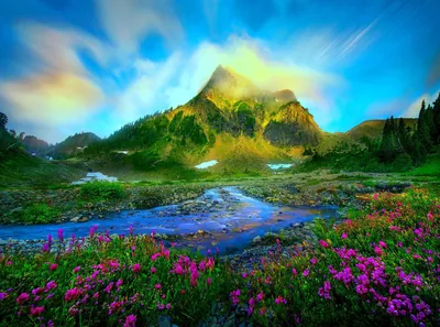 Heather blooms crowd the bottom edge below a glowing peak, a pale stream cutting through the meadow; the painterly composite look suits a saturated desktop.
