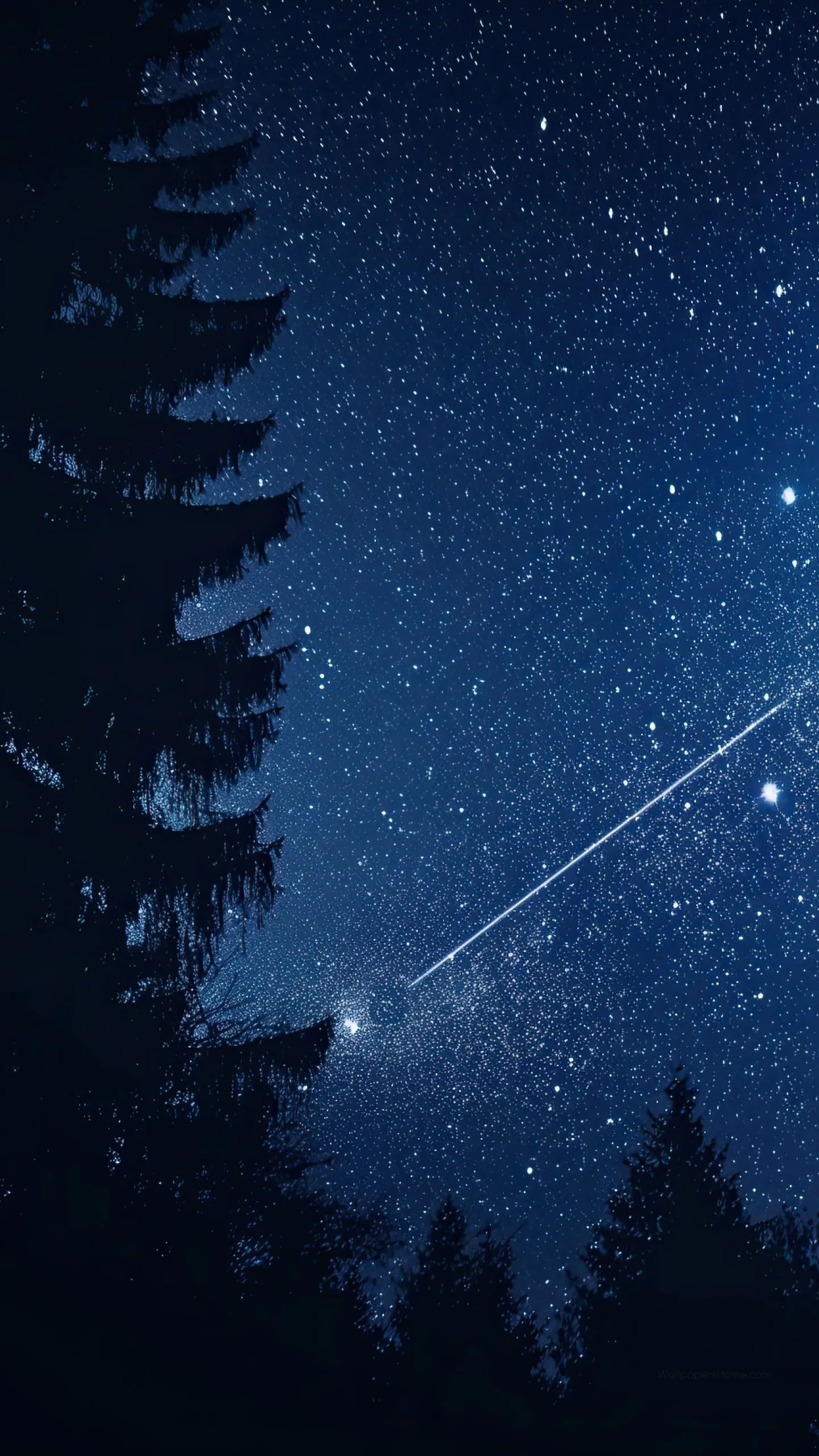 A meteor streaks down toward a lone spruce on the left edge, leaving the right half of this portrait sky open for widgets.
