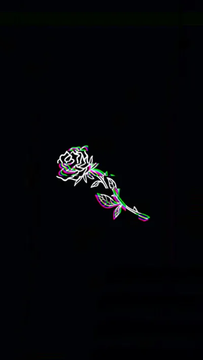 A rose drawn in thin neon line work sits in the upper half of a tall black frame, pink and green tracing its stem.