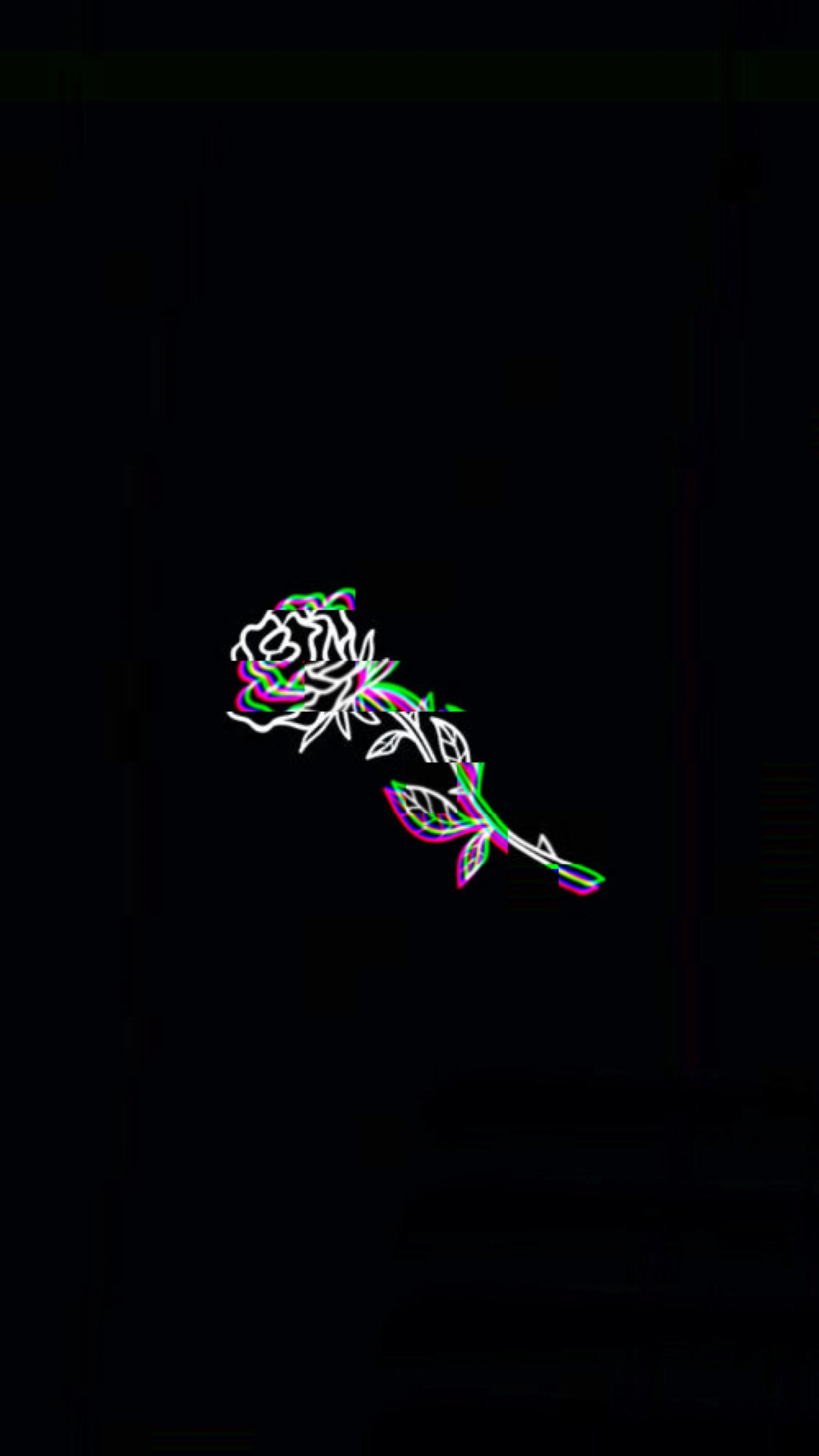 A rose drawn in thin neon line work sits in the upper half of a tall black frame, pink and green tracing its stem.