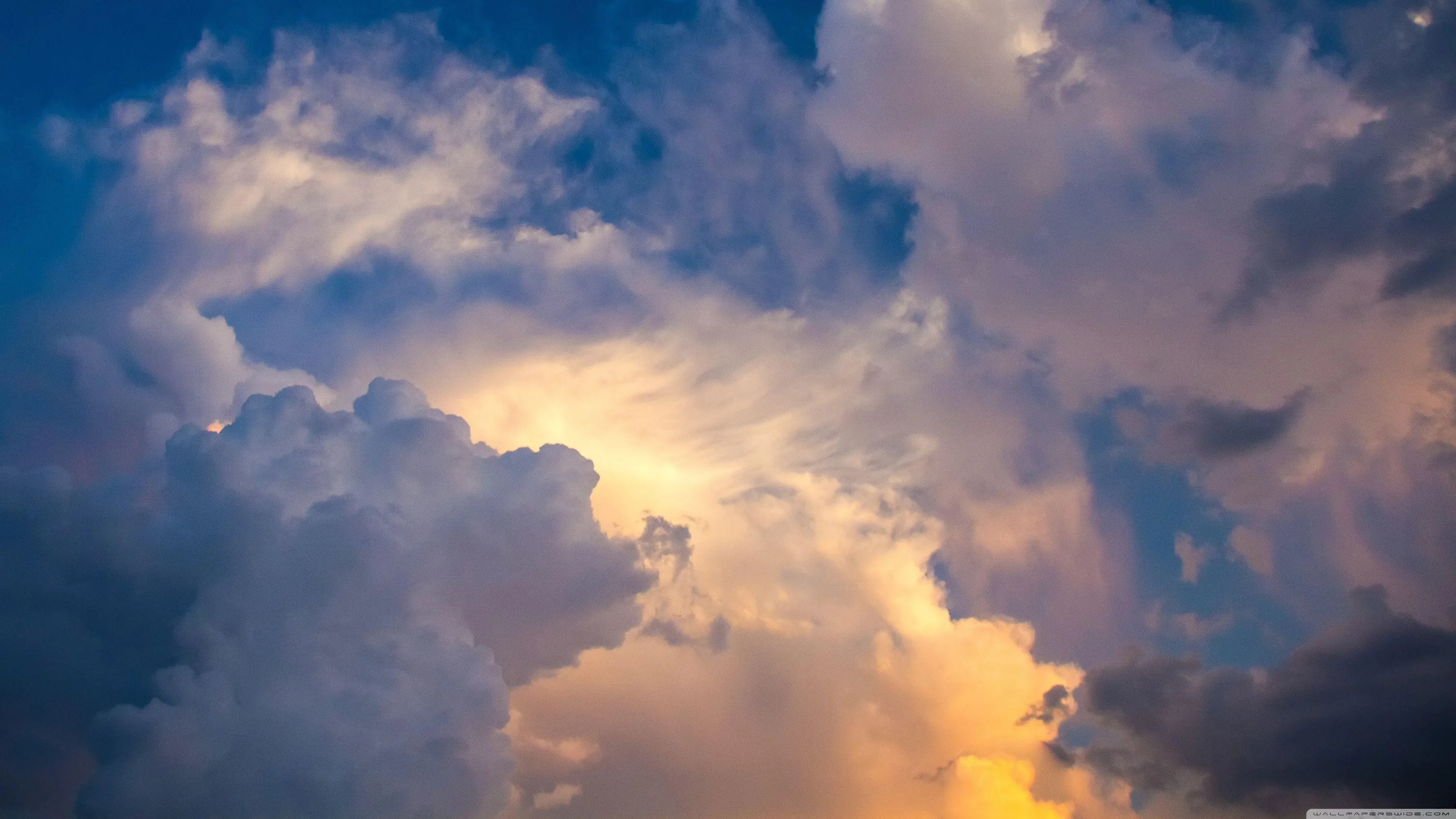 A close-up of a boiling thunderhead catching late sun, gold light breaking through its core while the edges shade violet and grey.