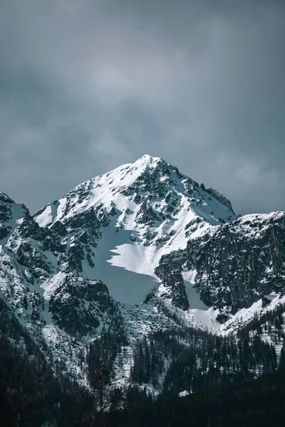 An overcast sky hangs over a snow-patched summit and dark forested slopes, the muted teal tones sitting well behind white app icons.