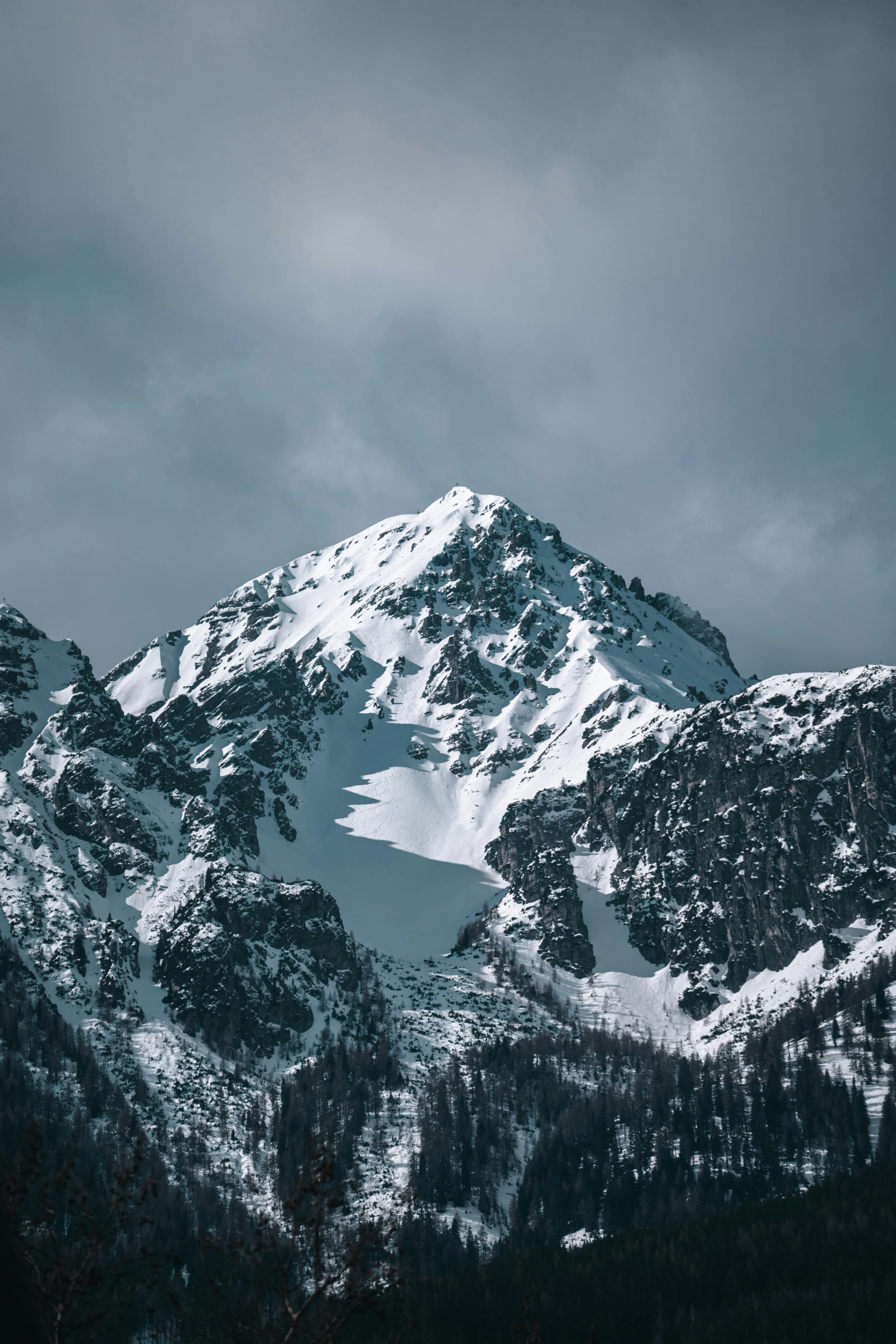 An overcast sky hangs over a snow-patched summit and dark forested slopes, the muted teal tones sitting well behind white app icons.