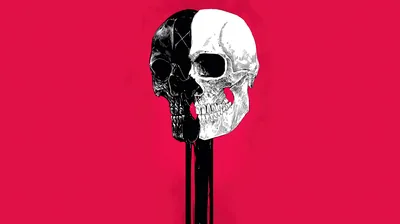 A skull cut down the middle into one black half and one white half rests on a dark post, set against a flat crimson background.