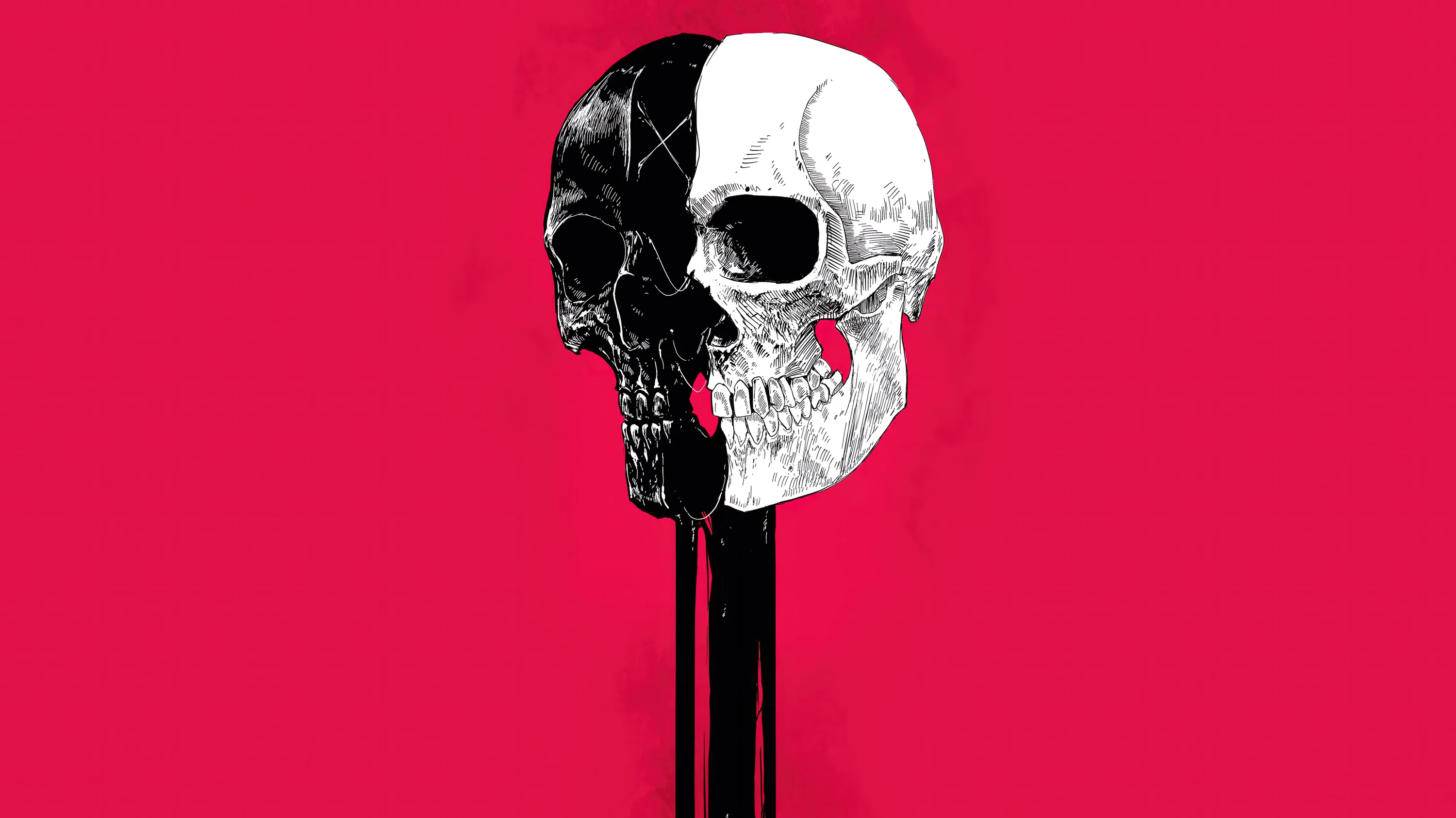 A skull cut down the middle into one black half and one white half rests on a dark post, set against a flat crimson background.