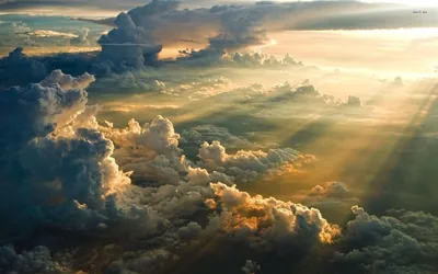 Golden god rays slant down across sunlit cloud tops seen from above, the shadowed left half fading into blue-grey storm.