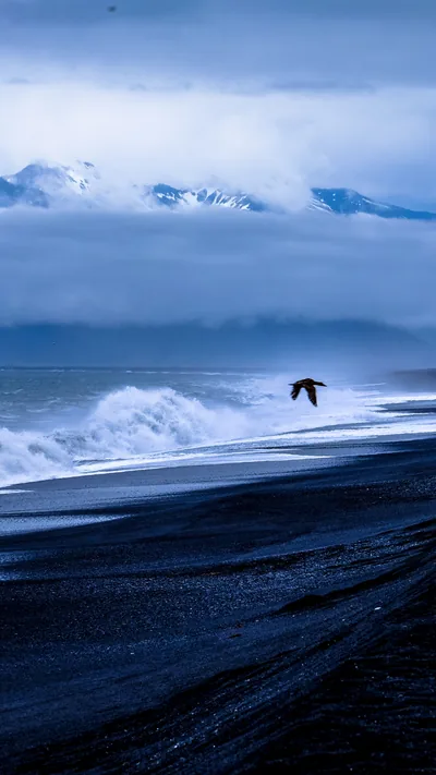 A lone bird glides low over surf breaking on black volcanic sand, with snow-covered peaks half lost in cloud behind.