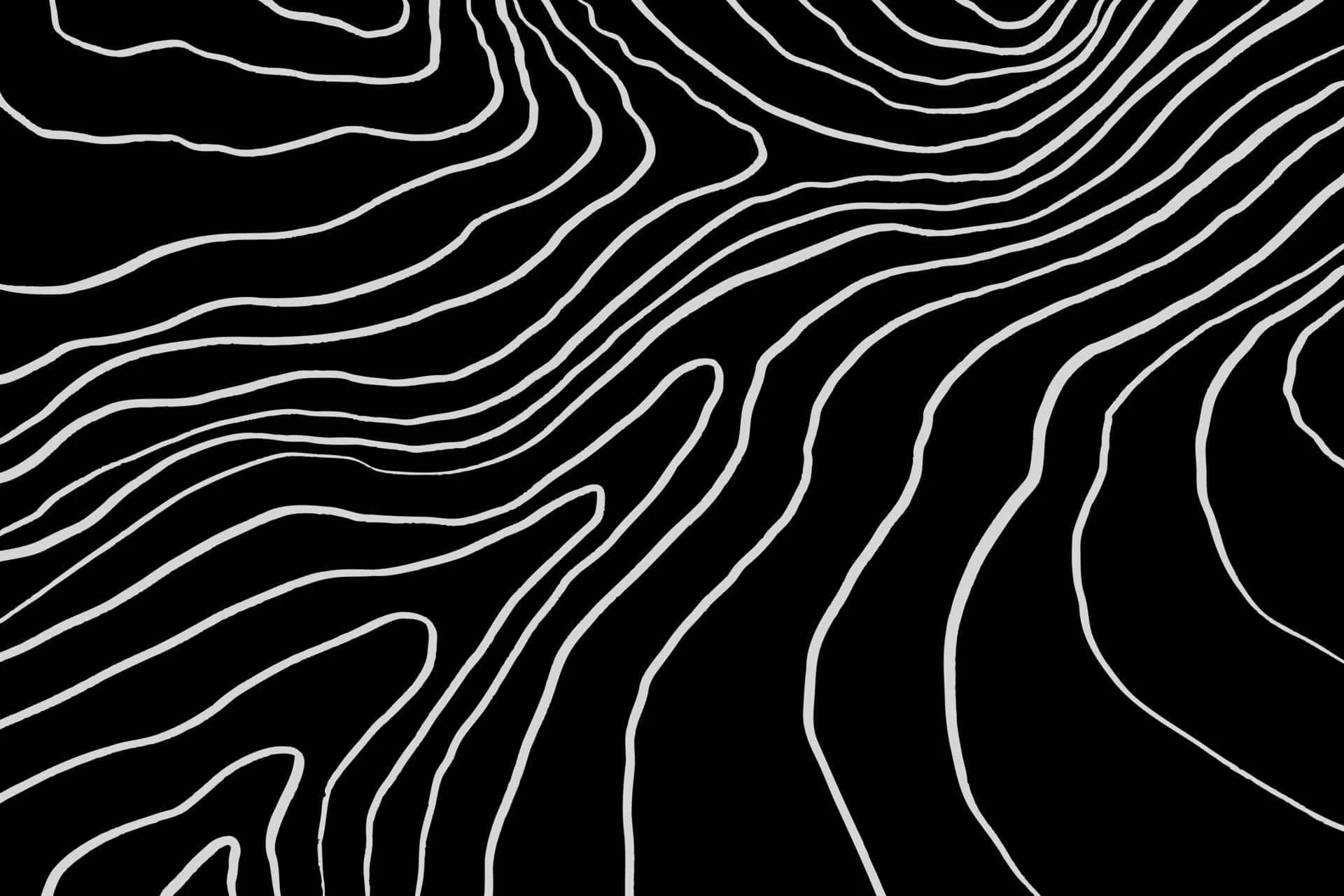 Thin white contour lines ripple across a solid black field like a map of a hillside, with wide dark gaps between the ridges.