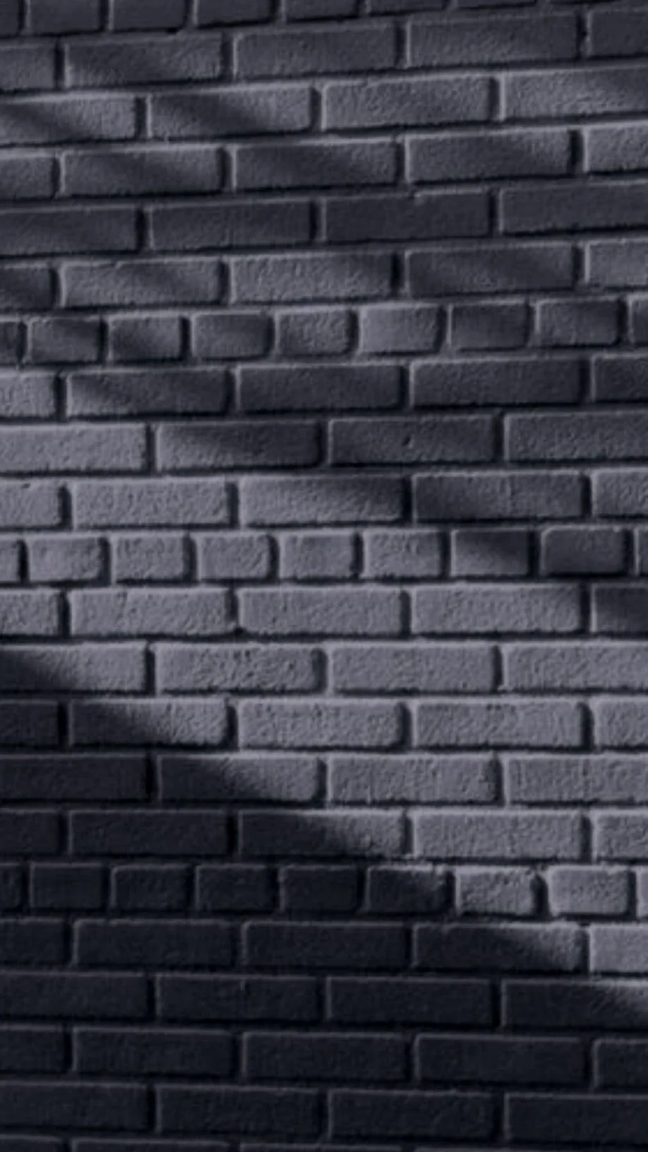 A hard diagonal shadow cuts down a grey-blue brick wall, the lit half above showing every joint and the shaded half sinking to near black.