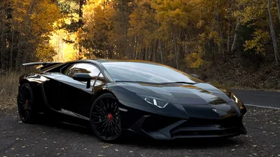 An Aventador SV with a fixed rear wing parked on a forest road, yellow aspen leaves filling the background while the paint stays flat black.