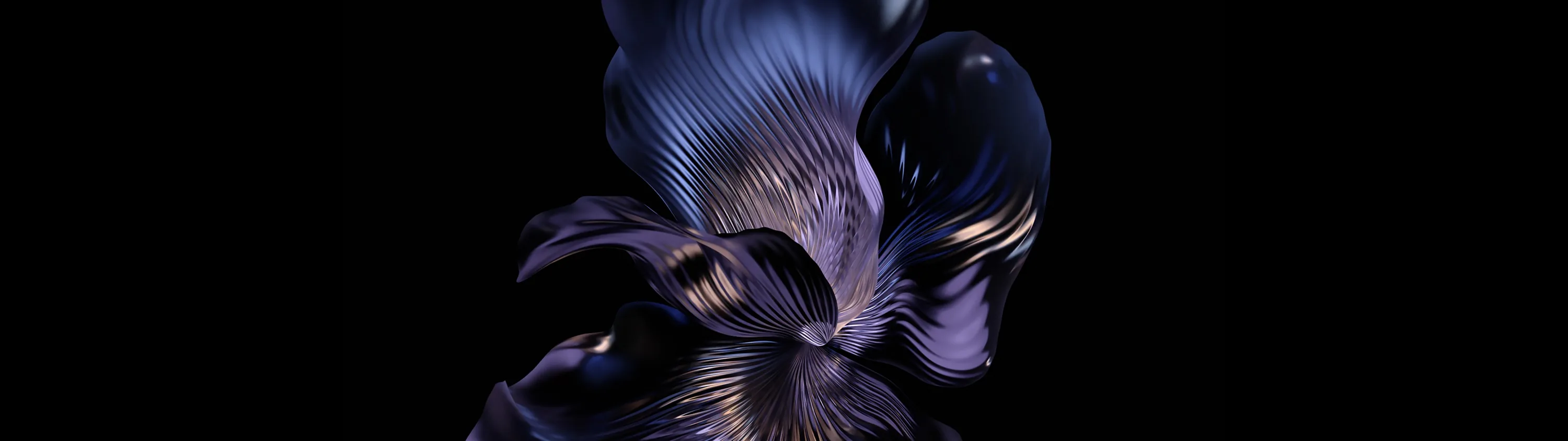 Feathered petals in blue and violet unfurl at the centre of a very wide, very short frame, catching a soft light from above.