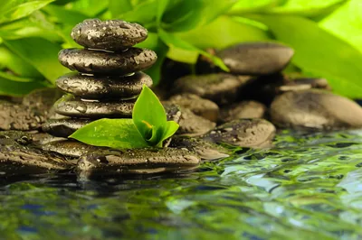 Wet basalt pebbles balance in a tower at the left while rippled water blurs into the right side, leaving that half calm enough for icons.