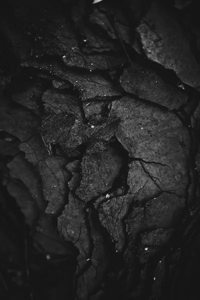 Cracked dark stone fills the tall frame, water sitting in the fissures and catching a hard sidelight.