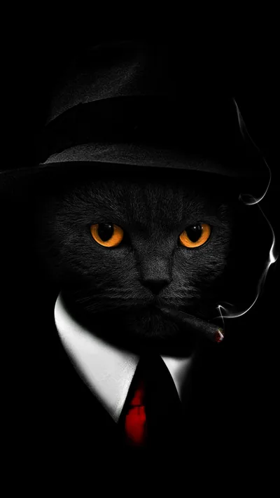 A black cat in a fedora, white shirt and red tie holds a cigarette, orange eyes lit from above and the rest of the frame dark.