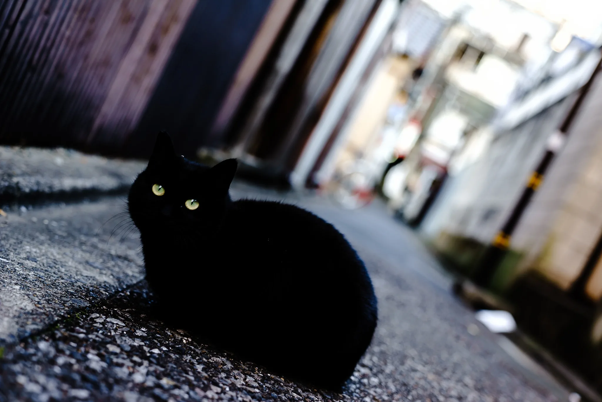 A black cat crouches low in a narrow back alley, yellow eyes fixed forward while the lane behind it blurs into grey.