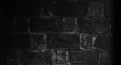 A handful of rough old bricks catch just enough light along their top edges, the rest of the wall dissolving into black at every corner.