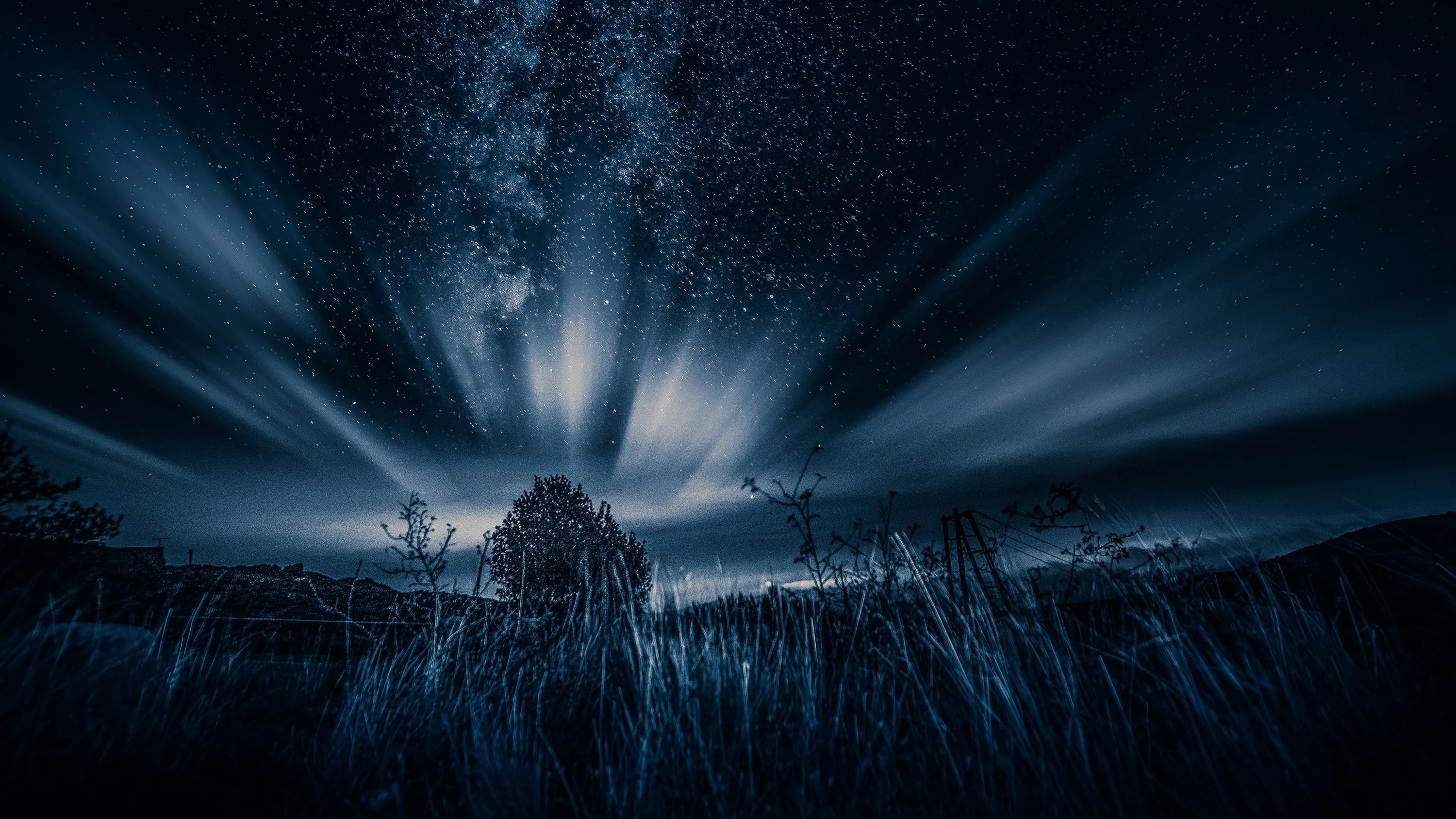Star trails and pale cloud streaks fan across a deep blue night sky above silhouetted grass and shrubs on the horizon.