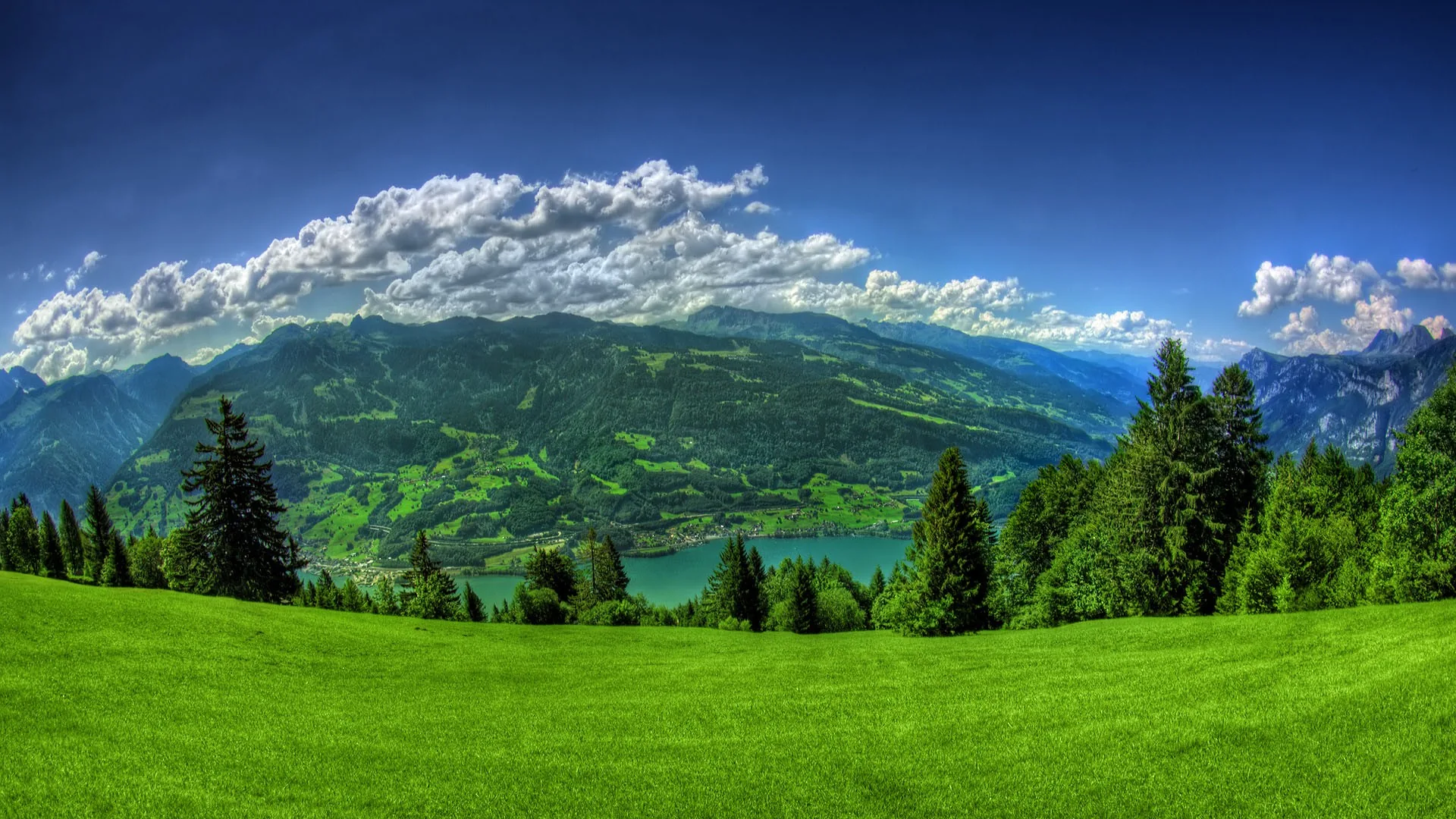 From a mowed hillside the view drops past spruces to a lake far below, a rope of heavy clouds pinned along the ridge in this saturated panorama.