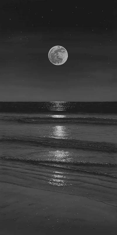 The moon sits low over a dark sea and lays a broken silver trail across the waves, wet sand filling the bottom of the tall frame.