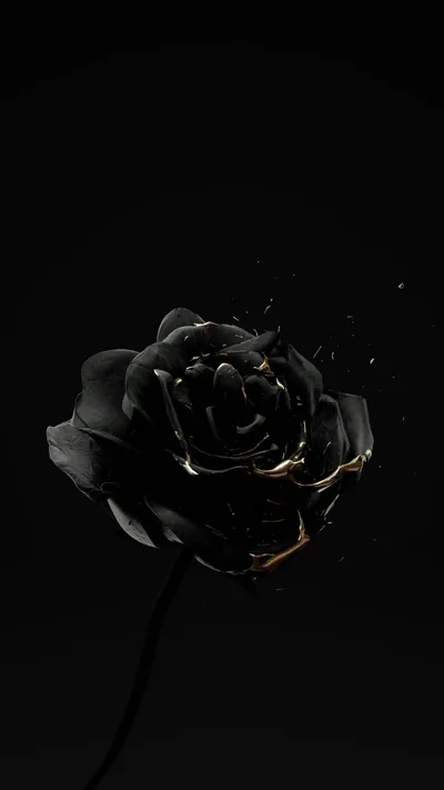A single black rose opens against darkness, gold cracks running along its petals and a few flecks drifting off to the right.