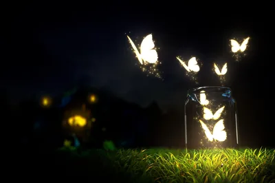 Butterflies made of light stream out of an open glass jar on dark grass, a lamplit house blurred to bokeh behind them.