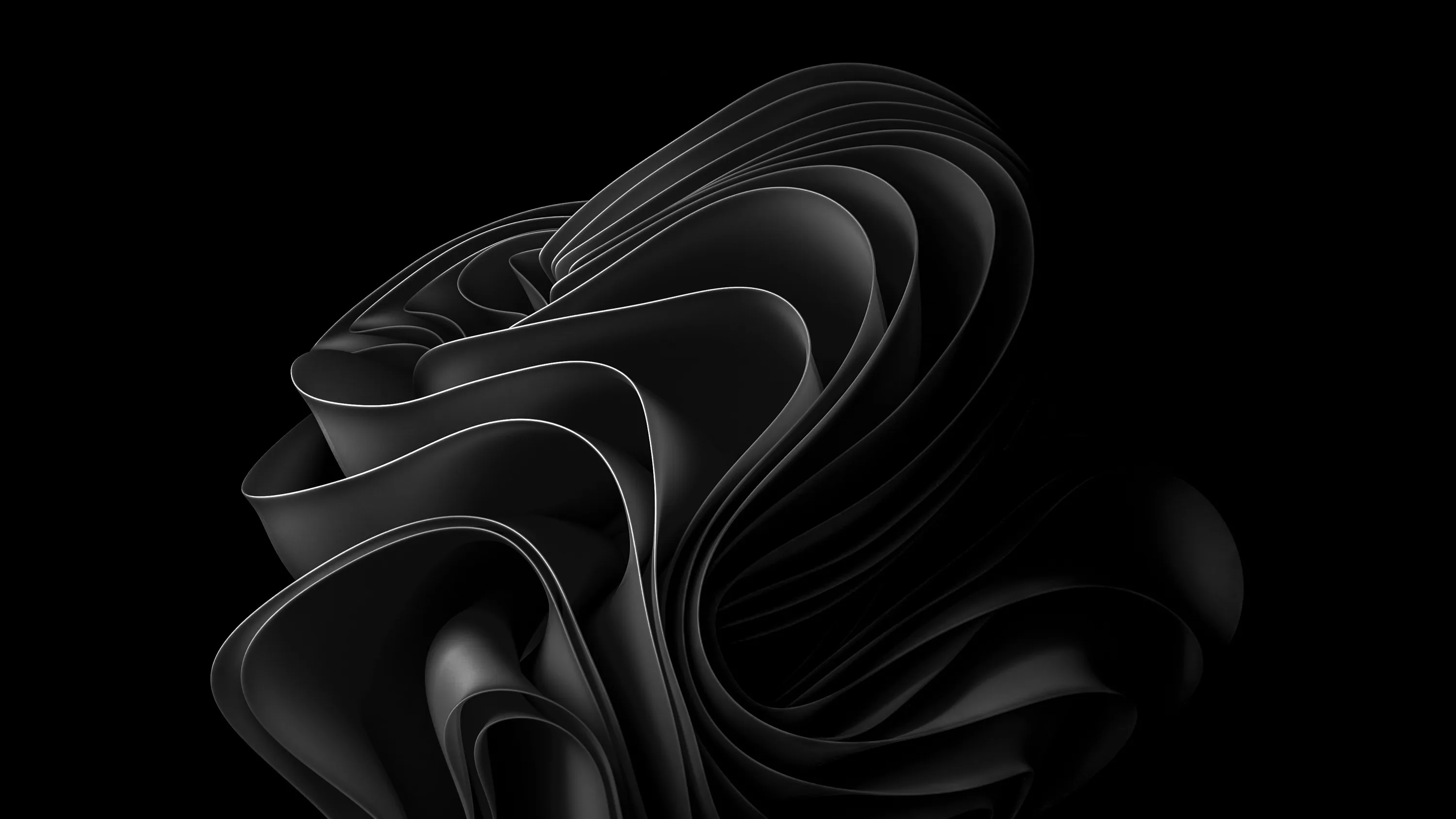 Curled sheets of black material coil into a sculpted knot at the centre of the frame, edges catching a grey light with wide empty margins on both sides.