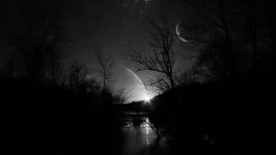Two crescent shapes glow over a flooded marsh in black and white, bare trees mirrored in the still water below.